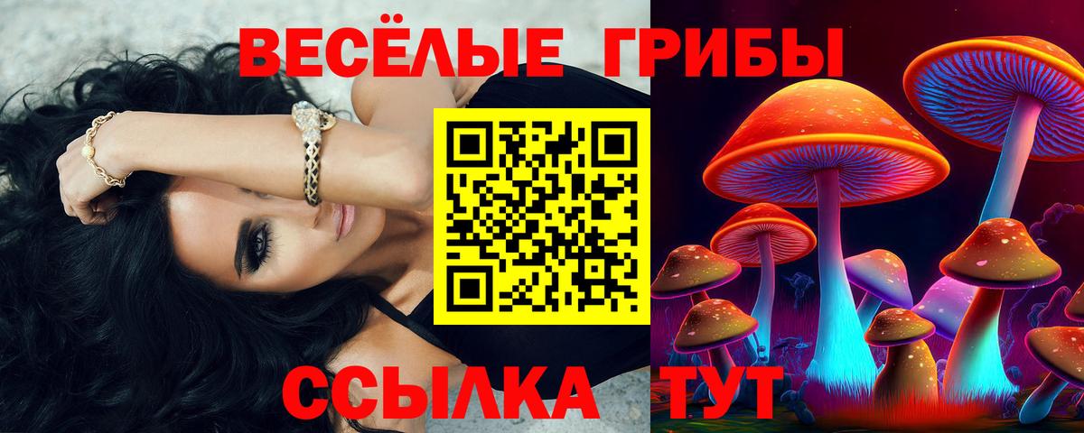 Галлюциногенные грибы MAGIC MUSHROOMS Костомукша