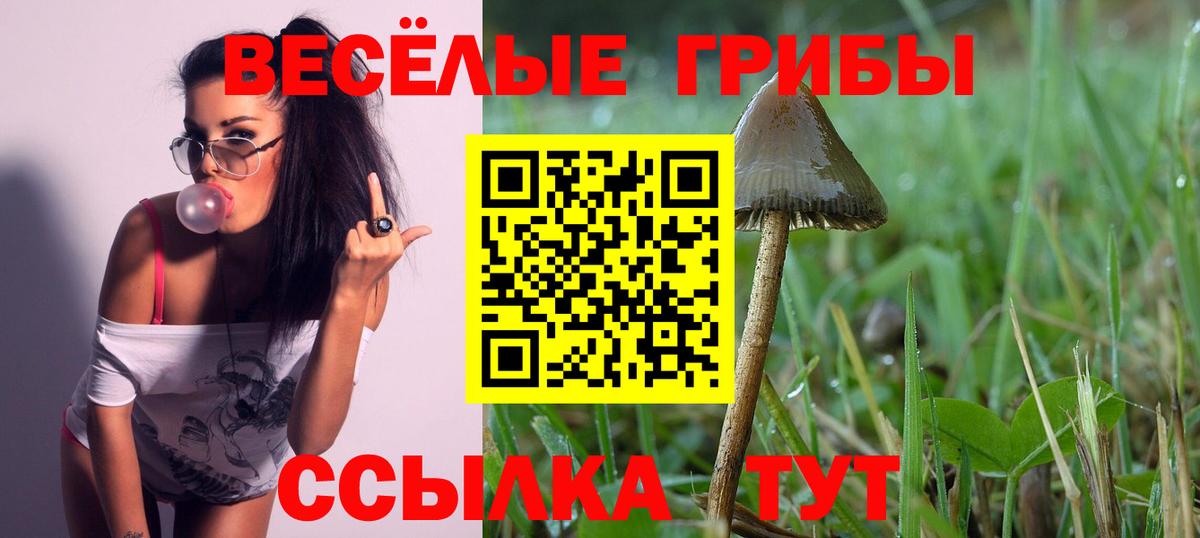Костомукша  закладки  Вход с VPN  Галлюциногенные грибы Cubensis 